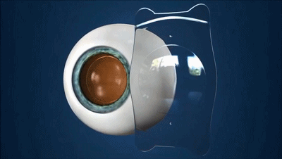 1602491776216981.gif 4.gif