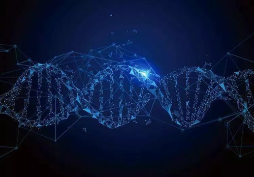 1603271031104689.jpg 640.webp (10).jpg