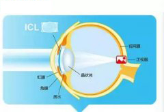 1639810445754778.jpg 1602490322248416.jpg