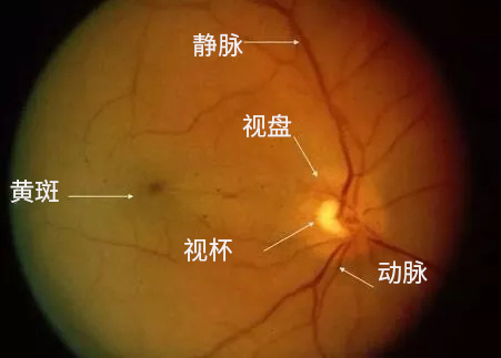 1639817561127778.jpg 1602493452944671.jpg